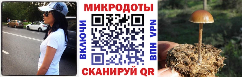 Купить  Муравленко  Галлюциногенные грибы прущие грибы 